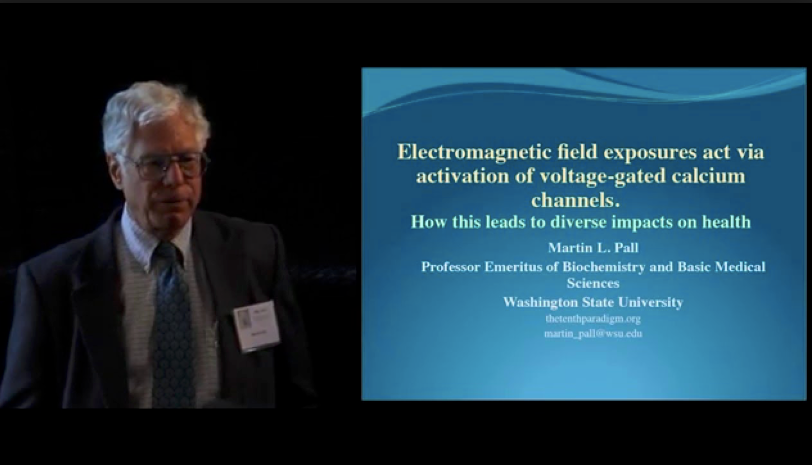 Voltage Gated Calcium Channels: impact of EMF on Human Cells