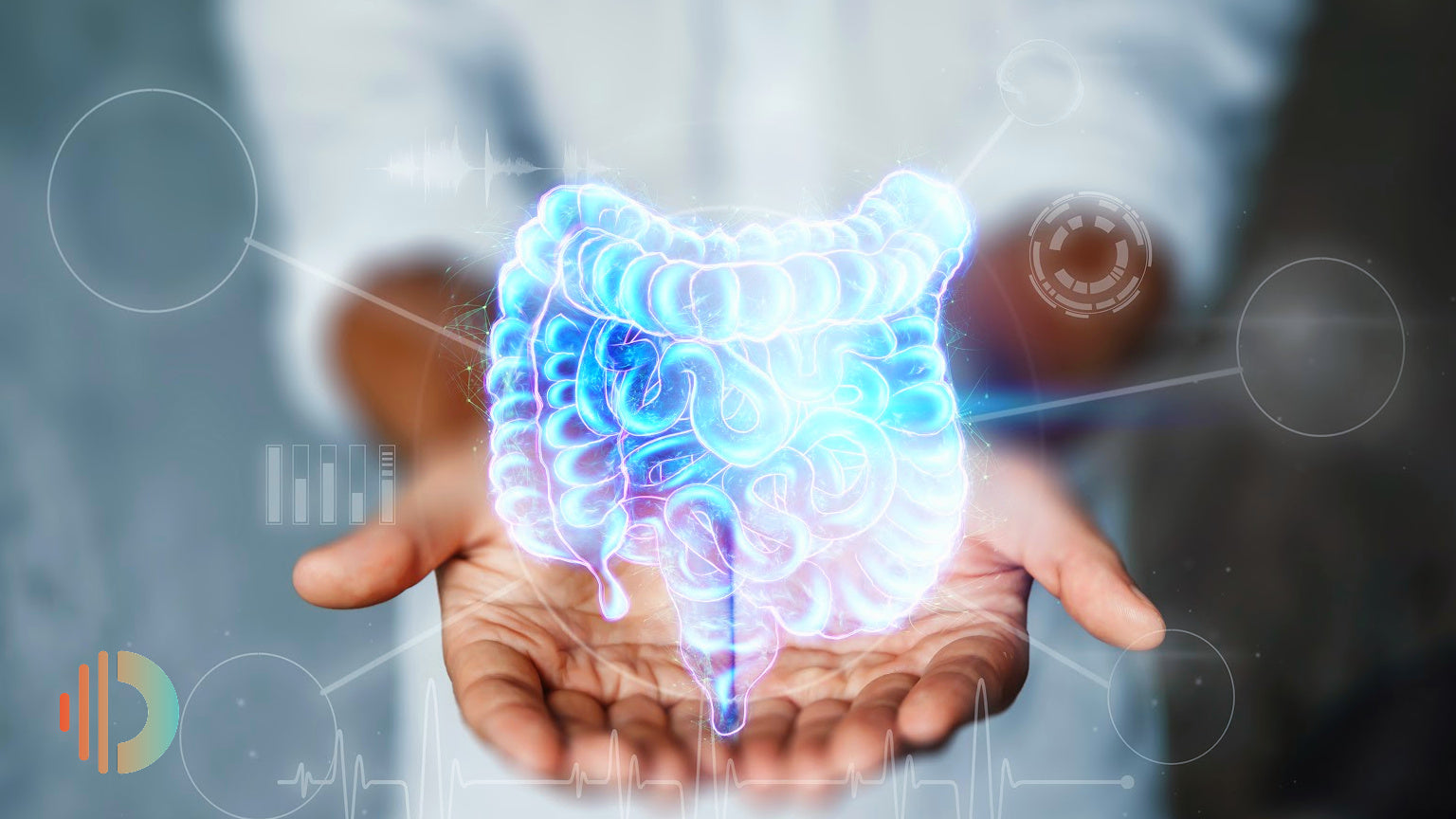 Does EMF Radiation Affect Our Gut Health? Here’s What We Know So Far