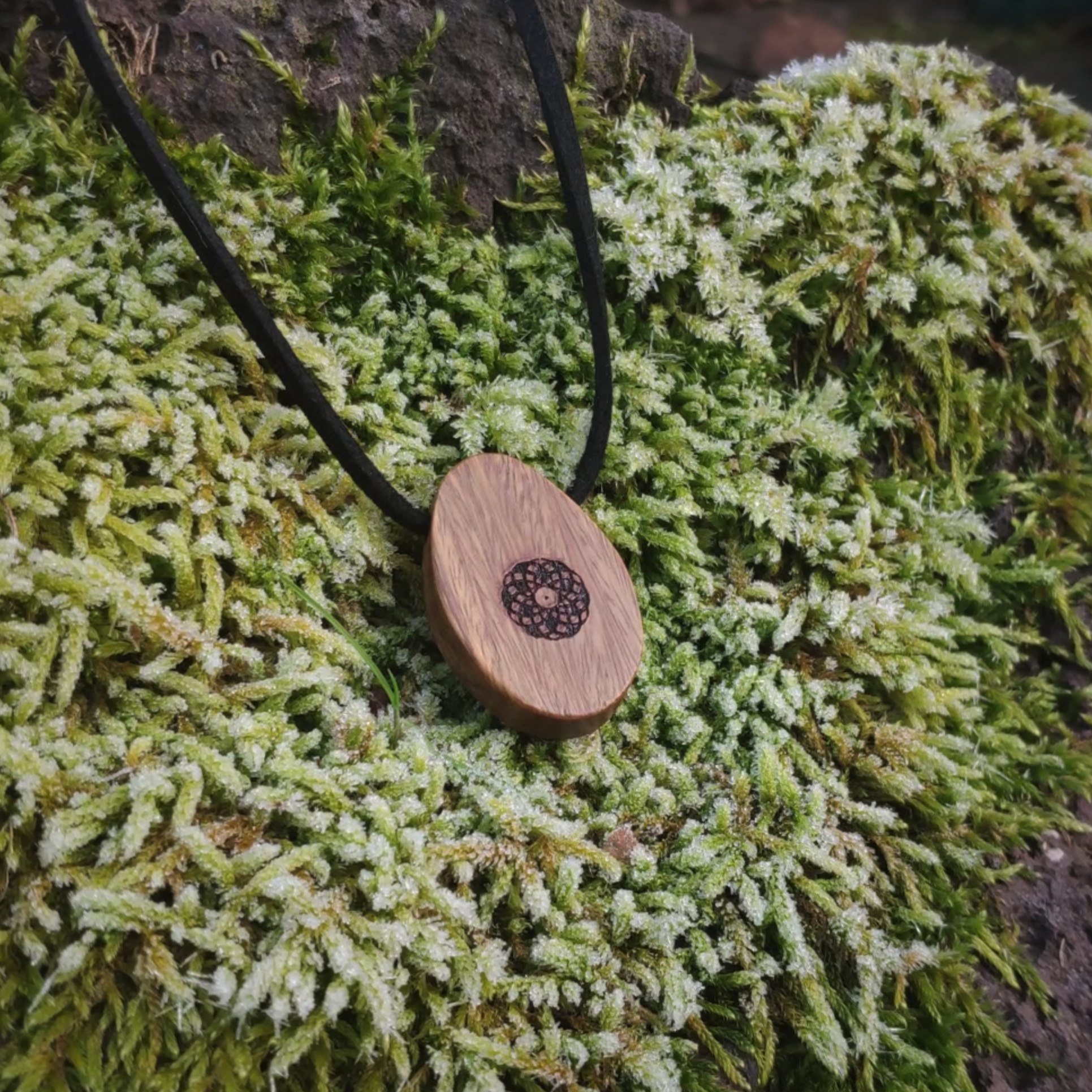 Torus Design in Lignum - ORB Pendant