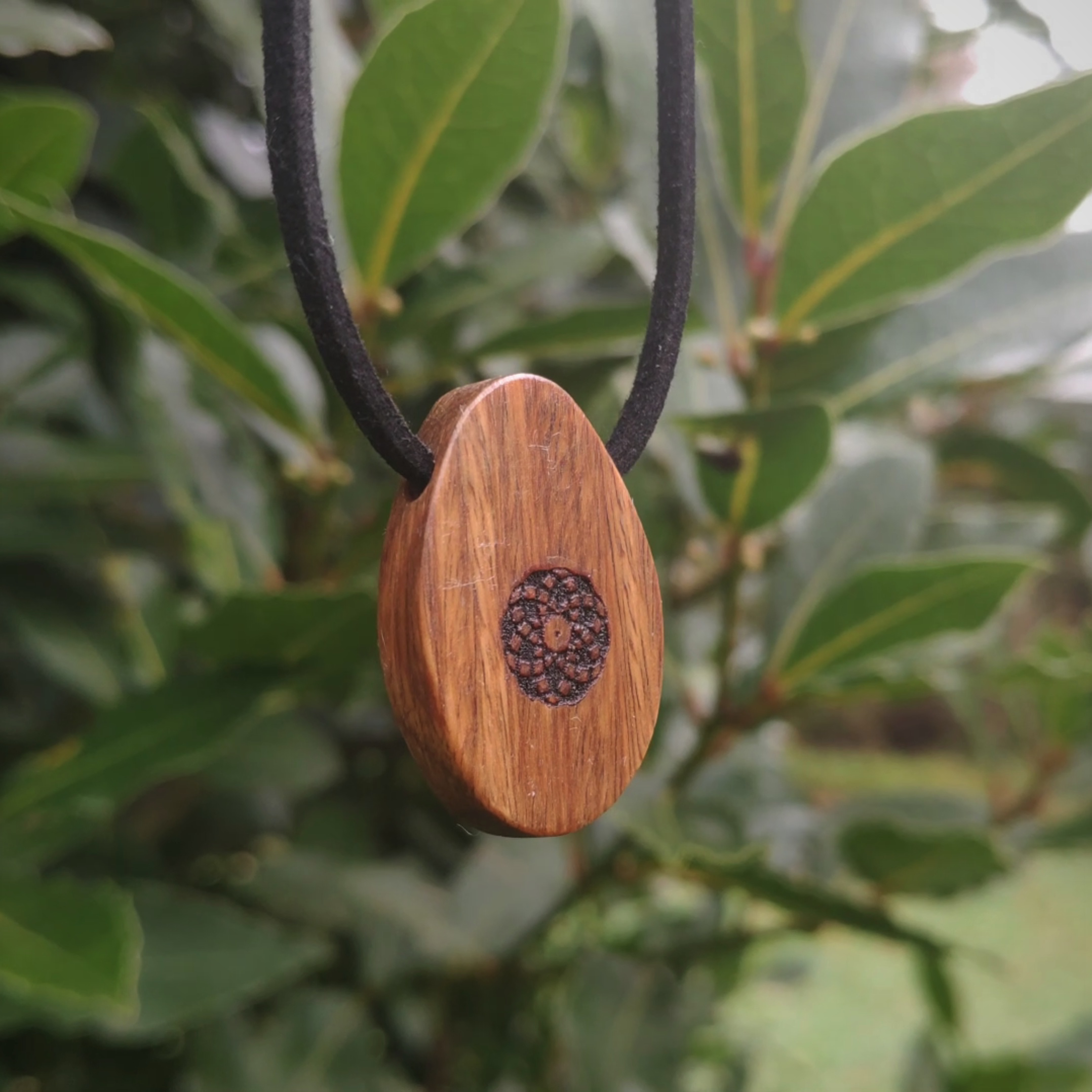 Torus Design in Lignum - ORB Pendant