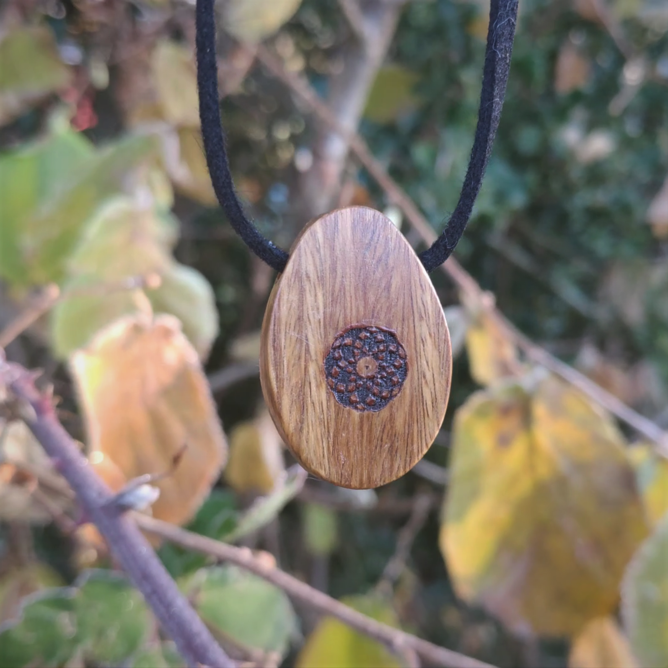 Torus Design in Lignum - ORB Pendant