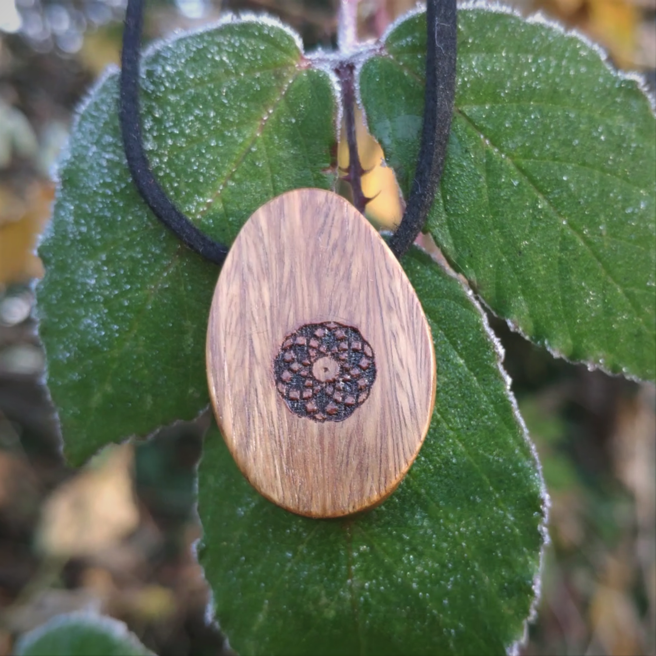 SALE ORB Pendant - Lignum (Torus)