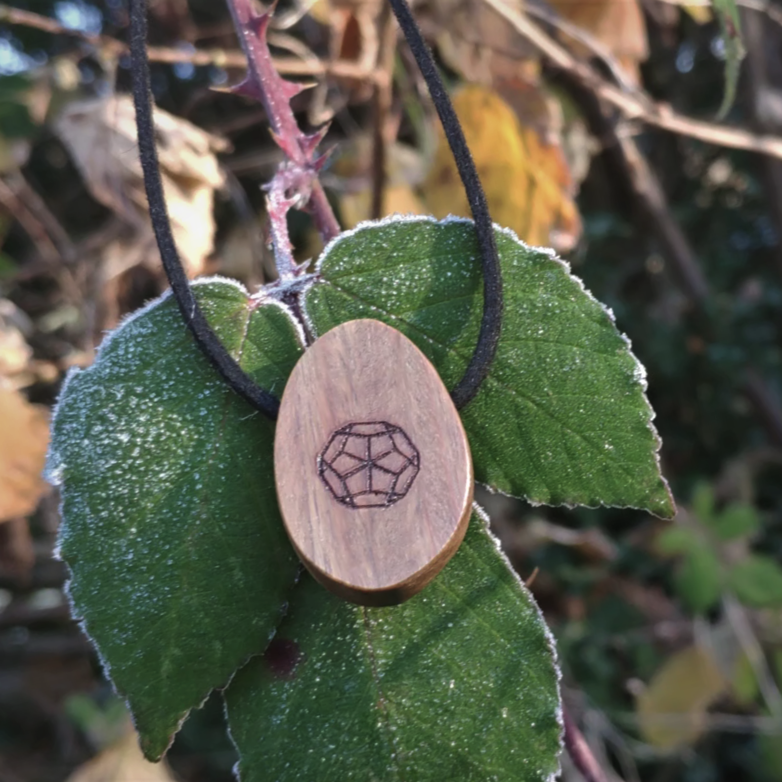 Deca Design in Lignum - ORB Pendant